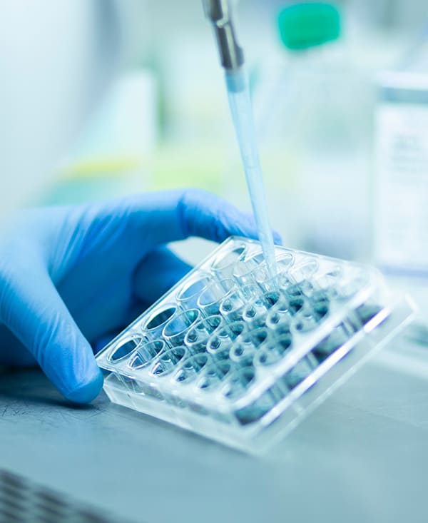 La scienza dietro l'invecchiamento (e non solo dietro le rughe)